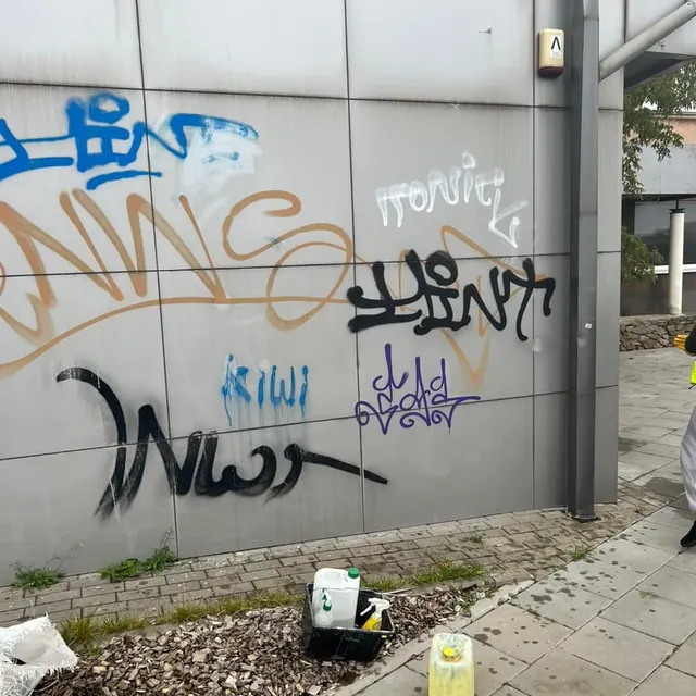 Grafiti ant sienos
